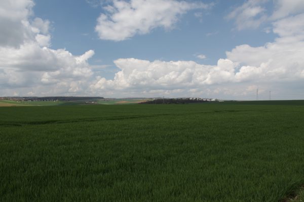 Eine schöne Landschaft mit einer Wiese und Himmel mit weißen Wolken.